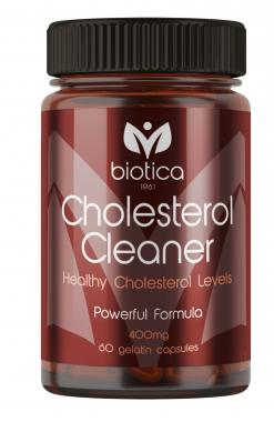CHOLESTEROL CLEANER – NA ODSTRÁNENIE CHOLESTEROLU